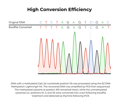 EZ DNA Methylation-Lightning Automation Kit