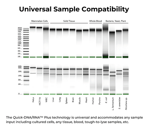 Quick-DNA/RNA Microprep Plus Kit