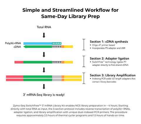 Zymo-Seq SwitchFree 3′ mRNA Library Kit