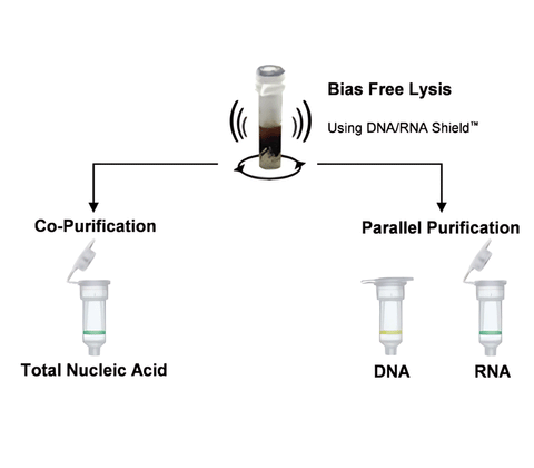 ZymoBIOMICS DNA/RNA Miniprep Kit