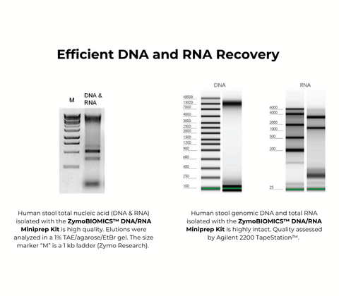 ZymoBIOMICS DNA/RNA Miniprep Kit