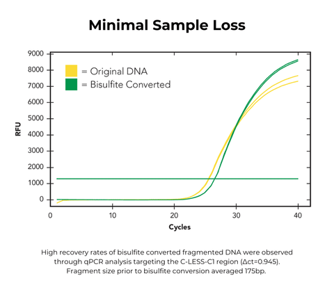 EZ DNA Methylation-Lightning Automation Kit