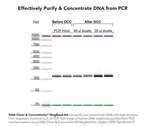 DNA Clean & Concentrator MagBead Kit