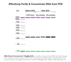 DNA Clean & Concentrator MagBead Kit