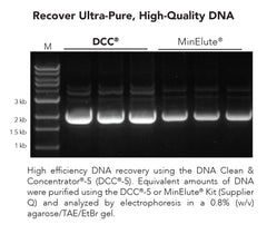 ZR-96 DNA Clean & Concentrator-5 (Deep Well)