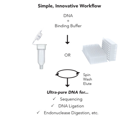 DNA Clean & Concentrator-100