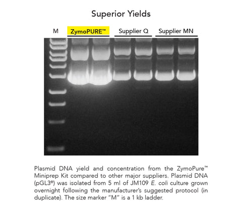 ZymoPURE Plasmid Miniprep Kit