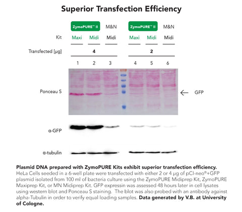 ZymoPURE II Plasmid Gigaprep Kit