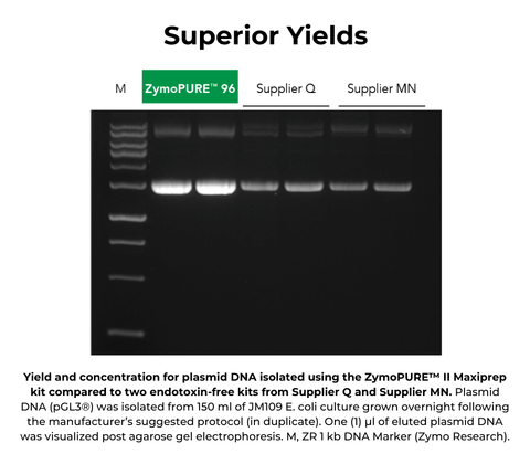 ZymoPURE II Plasmid Gigaprep Kit